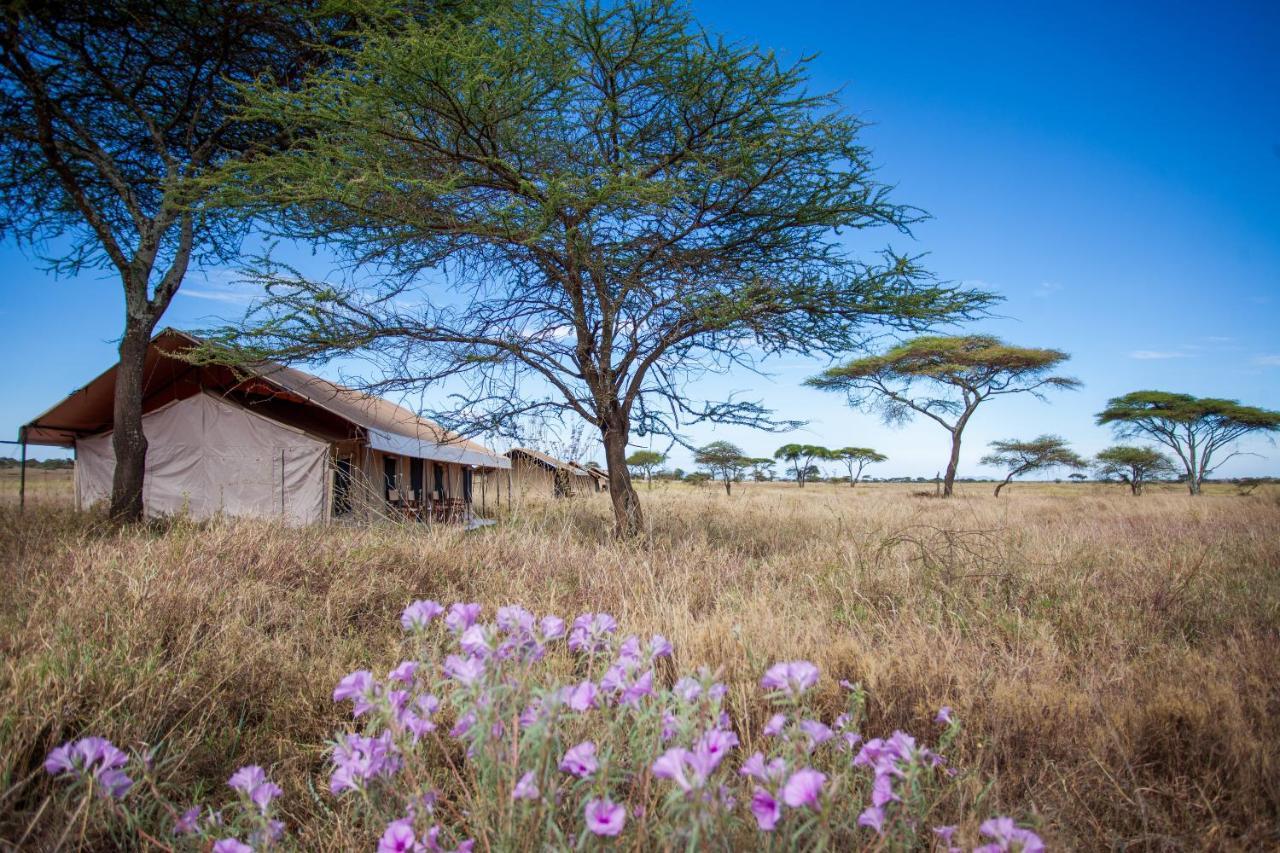 Mawe Tented Camp Serengeti Exterior photo